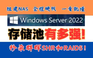 Download Video: NAS党必看，秒杀群晖SHR和RAID5！最新的 Windows Server 2022 存储池有多强？