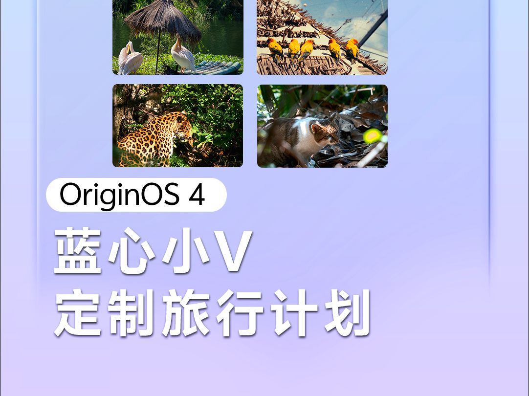 蓝心小V,定制旅行计划 | vivo全新系统OriginOS 4哔哩哔哩bilibili