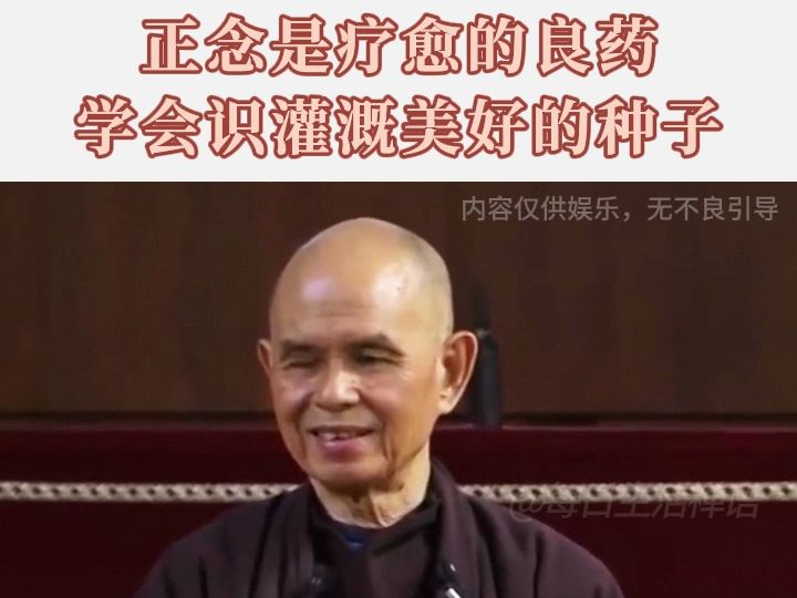 一行禅师:“我将修习回到当下,不然悔疚和悲伤把我带到过去”哔哩哔哩bilibili