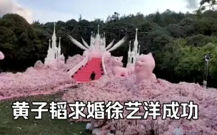 黄子韬求婚徐艺洋成功了 花上边都是徐艺洋的宠物