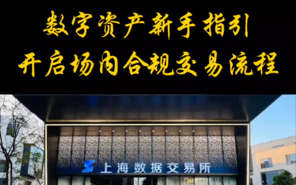 新手指南|简单五步解锁上海数据交易所数字资产交易流程#数据要素#数字资产#上海数据交易所数字资产#上海数据交易所数字资产链接哔哩哔哩bilibili