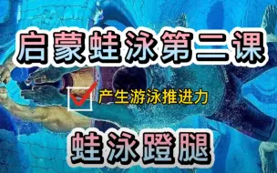 启蒙蛙泳「第二课」：蛙泳蹬腿