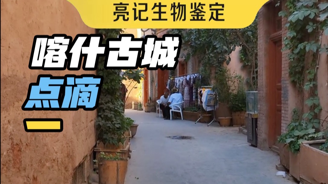 在喀什古城体验原住民的生活