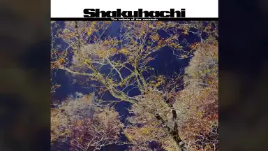 WAMONO GROOVE 山屋清 米川敏子 三橋貴風 三桥贵风-哔哩哔哩_Bilibili