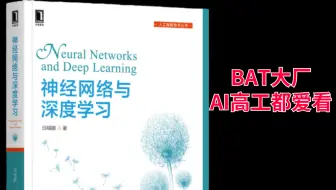 特斯拉高薪大牛推荐的【神经网络与深度学习】教程，BAT大厂AI高工也爱看！真的太肝了！-人工智能/深度学习/AI/计算机视觉