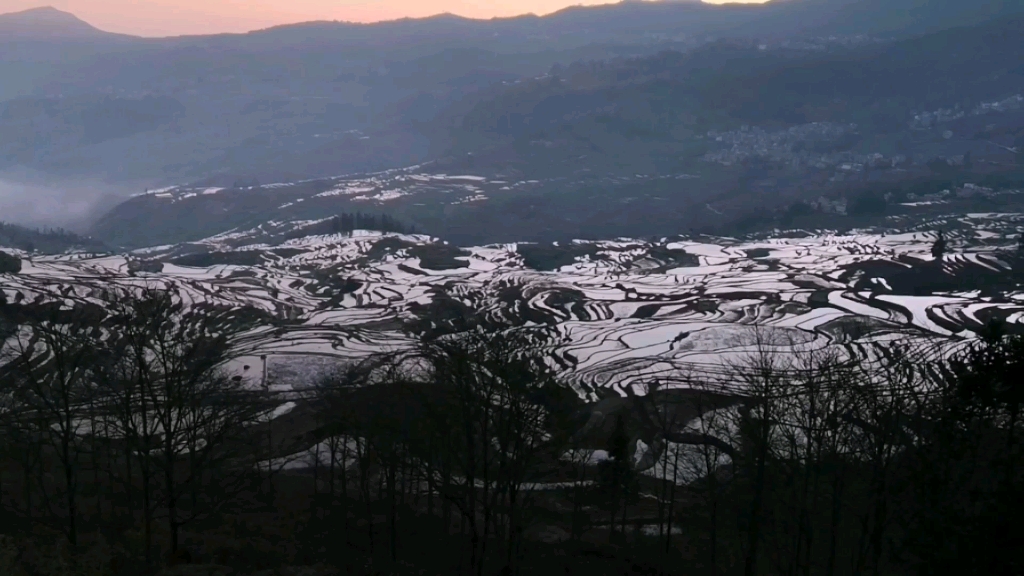 [图]【杨巽之中国画】“搜尽奇峰打草稿”采风之旅一一多依树曙光