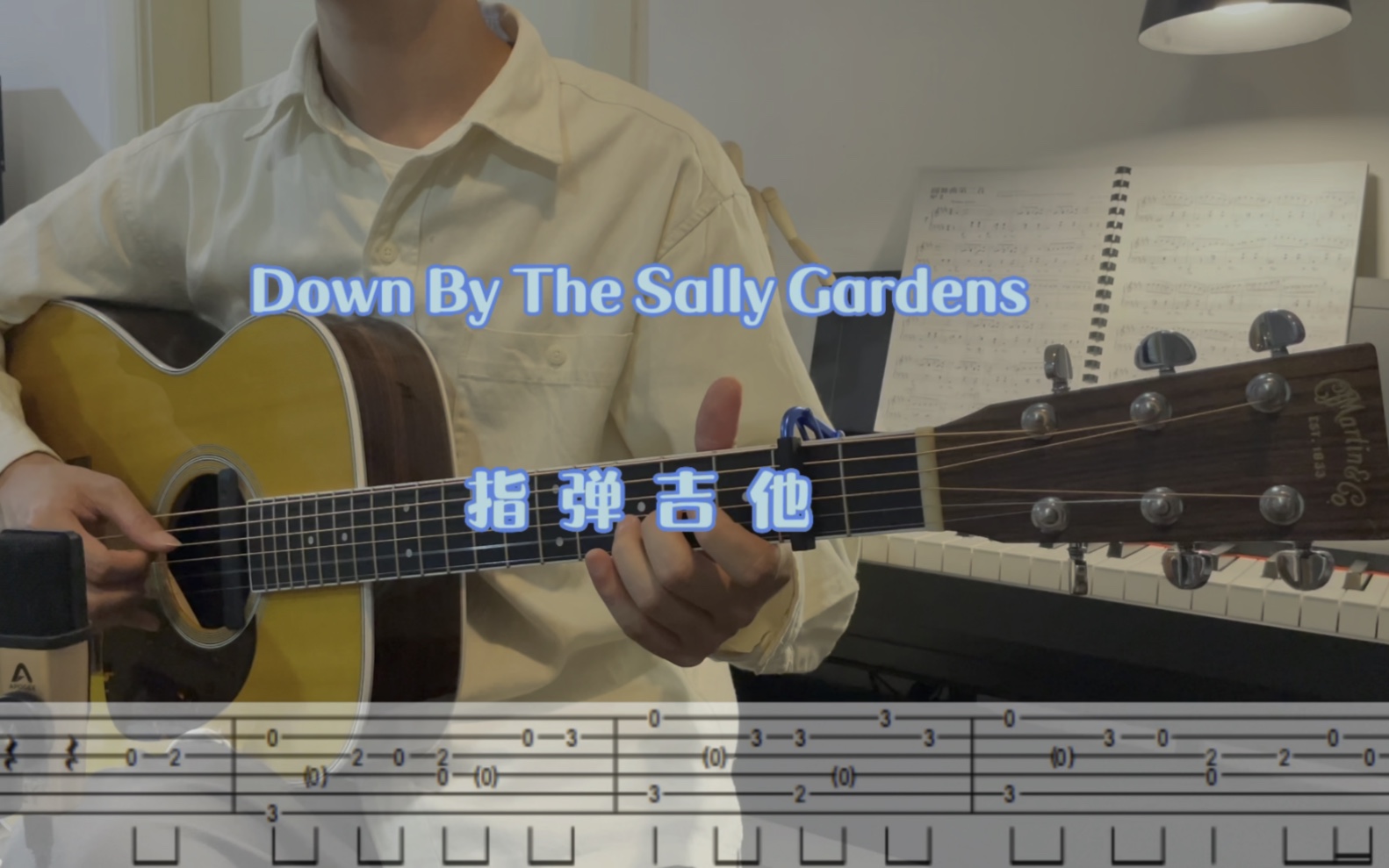 [图]指弹吉他【带谱】《Down By The Sally Gardens》Cover藤田惠美