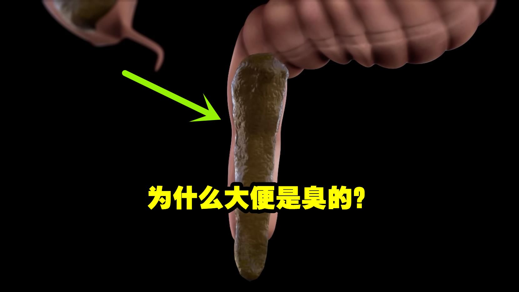 拉屎为什么很臭