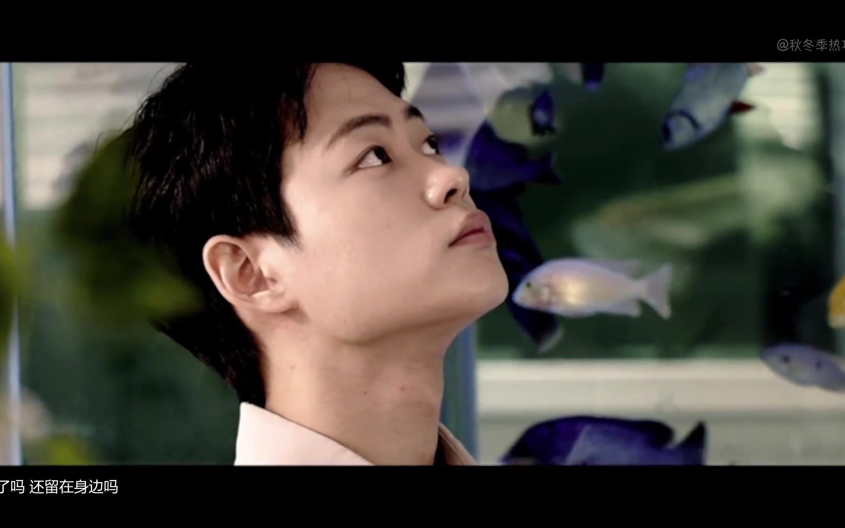 kwak jineon)【李洗赈参演mv】