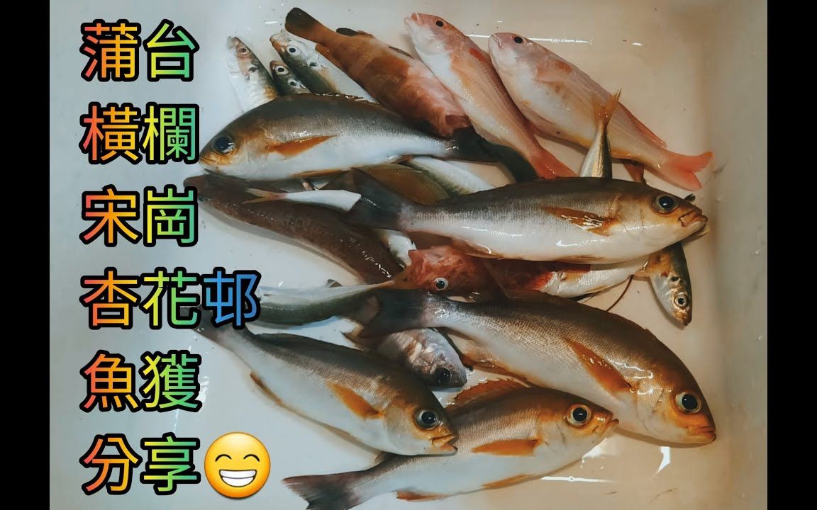 [图]【香港艇釣精華】第21集- 蒲台島横欄島宋崗杏花邨釣魚魚獲Vlog｜雞魚｜䱛｜池魚｜石狗公｜瓜衫｜九棍｜斑類 25-06-2022 #釣魚 #香港釣魚 #杏花邨