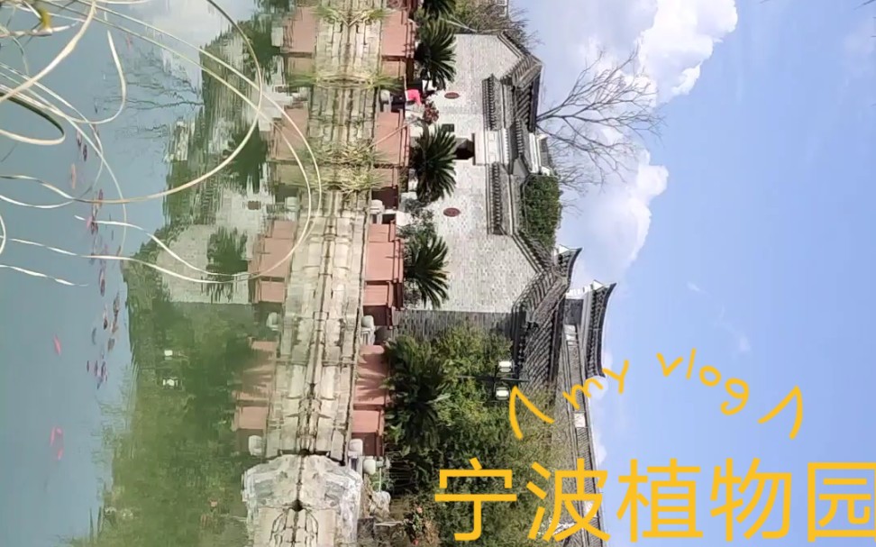 宁波市植物园哔哩哔哩bilibili