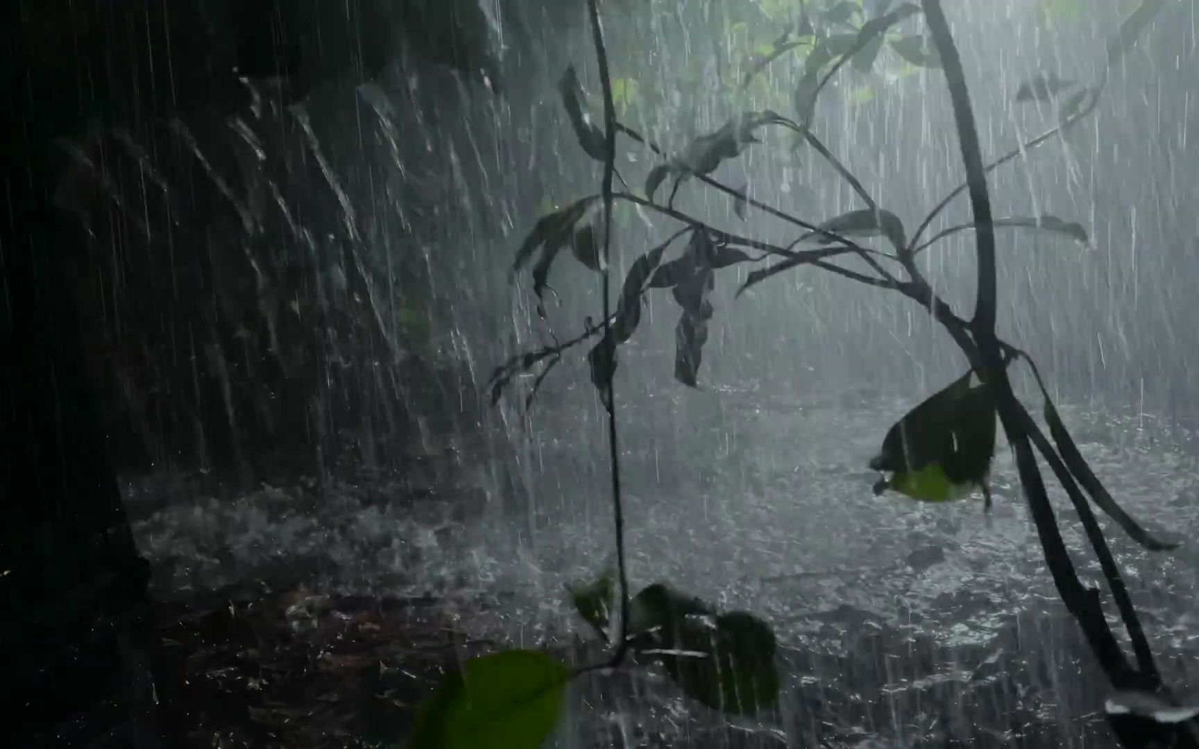 [图]【真实雨声】30分钟  | 大暴雨和雷声99% 的人会很快入睡