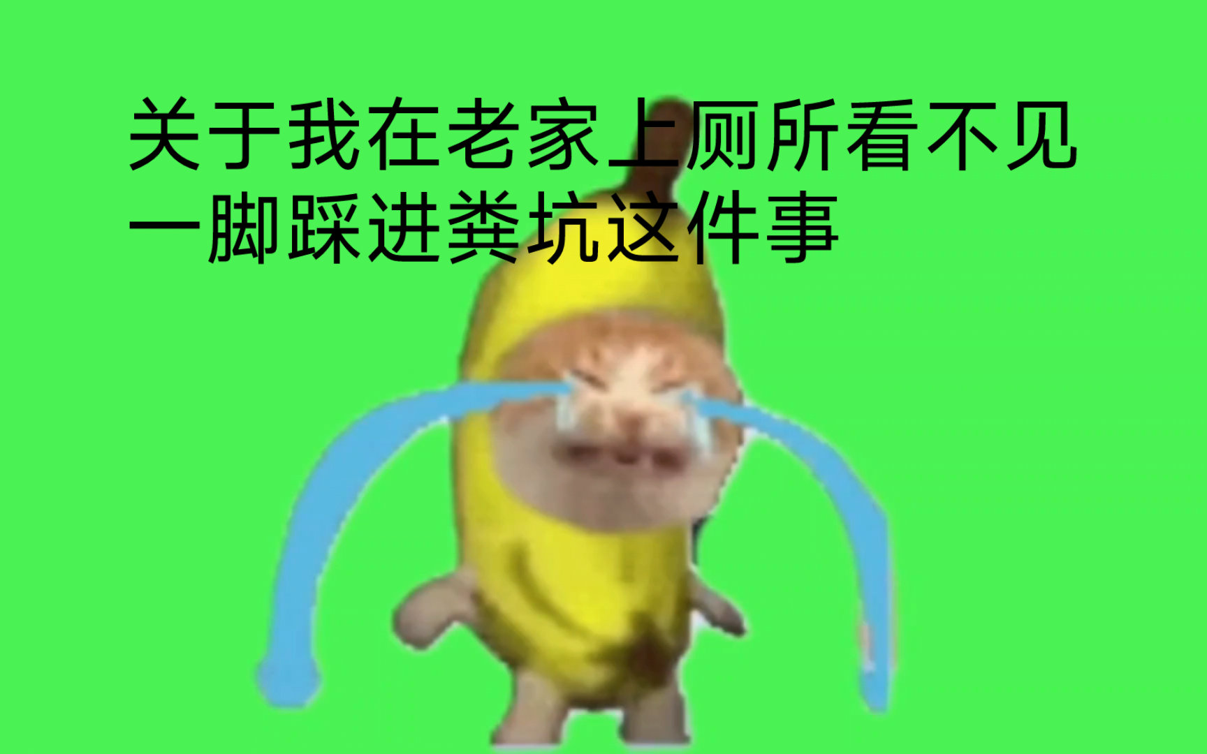 猫meme 关于我在老家上厕所看不见一脚踩进粪坑这件事