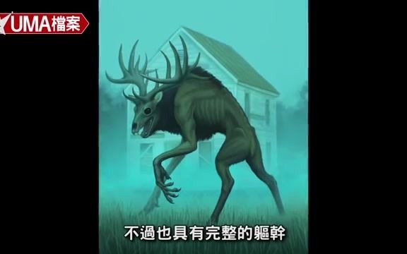 【UMA档案】弗雷斯诺夜行者美国加州出现的诡异生物,恶作剧或是外星人降临!哔哩哔哩bilibili