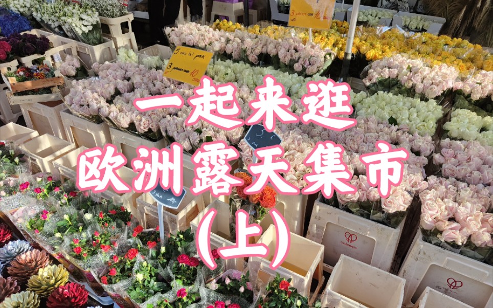 【欧洲露天集市】比利时安特卫普周六集市exotic food market一起逛集市(上半篇)采购闲聊哔哩哔哩bilibili