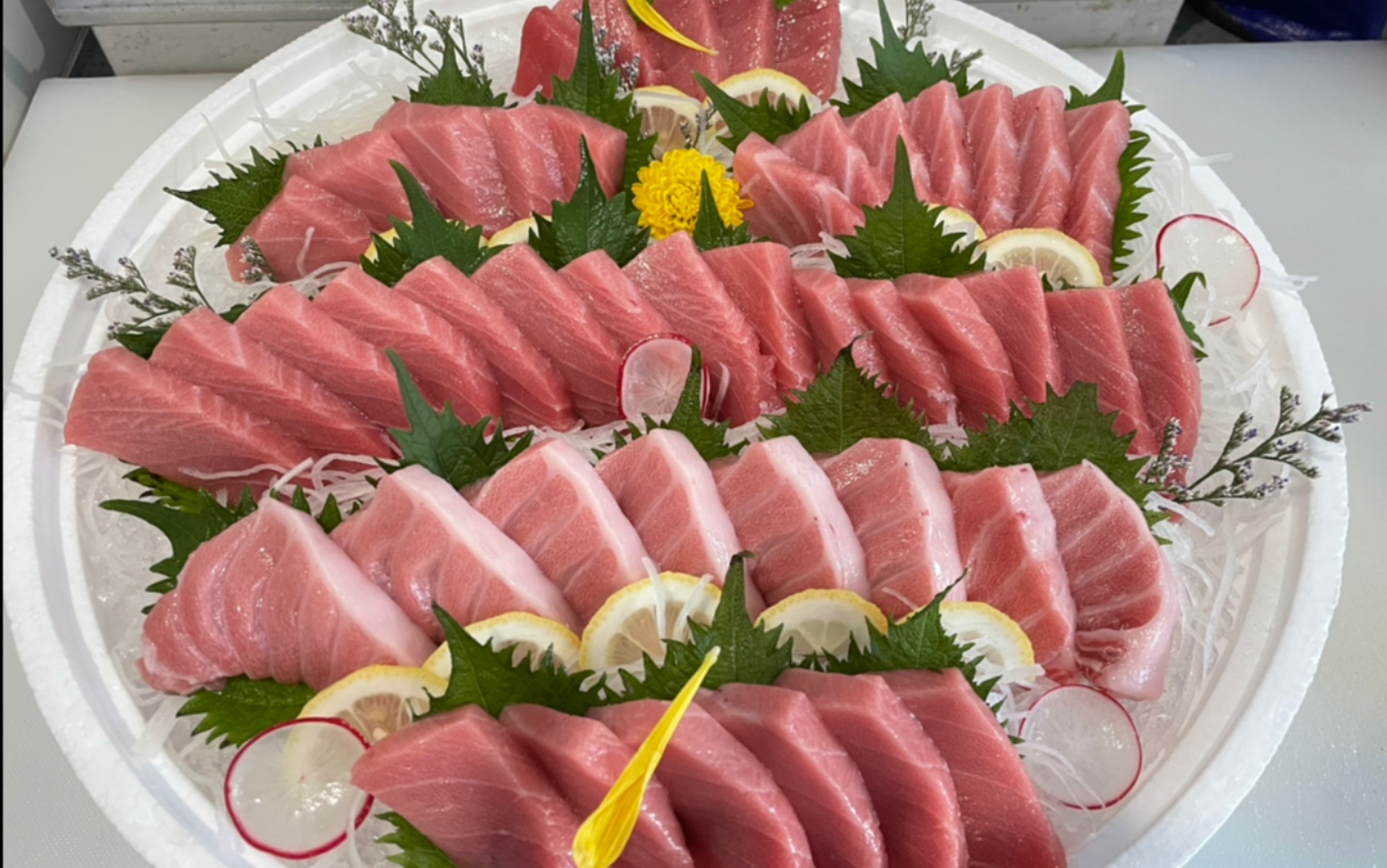 日本冰鲜蓝鳍金枪鱼腩_哔哩哔哩_bilibili