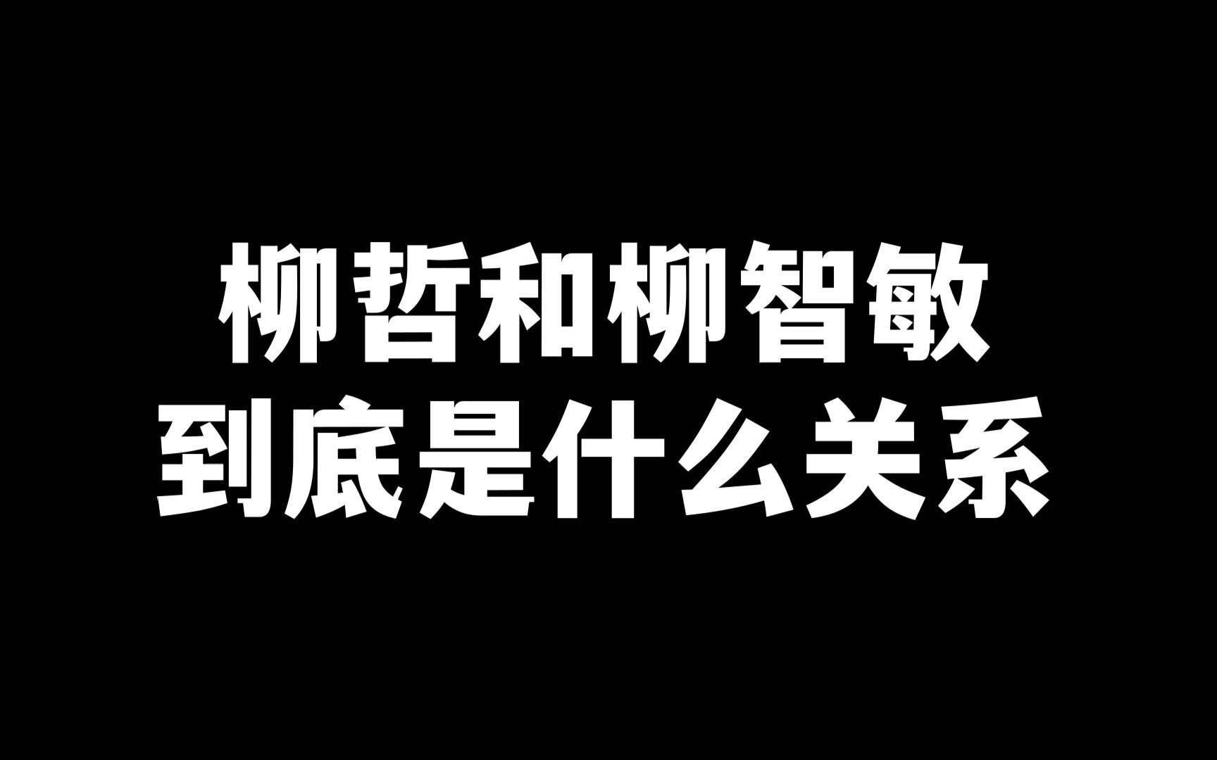 C:柳哲和柳智敏到底是什么关系哔哩哔哩bilibili