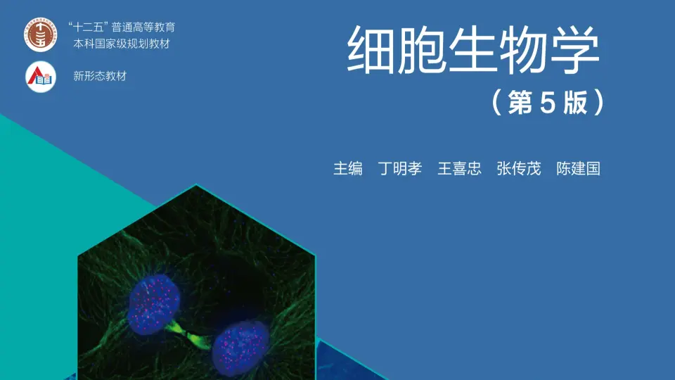 丁明孝-第五版-细胞生物学-全程班_哔哩哔哩_bilibili