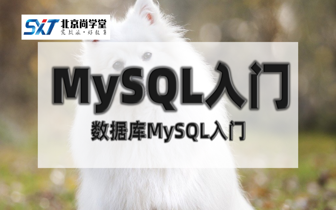 MySQL基础入门mysql教程数据库MySQL入门实战教程MySQL数据库基础知识MySQL基本操作和SQL语句入门MySQL新手入门教程详解尚学堂哔哩哔...