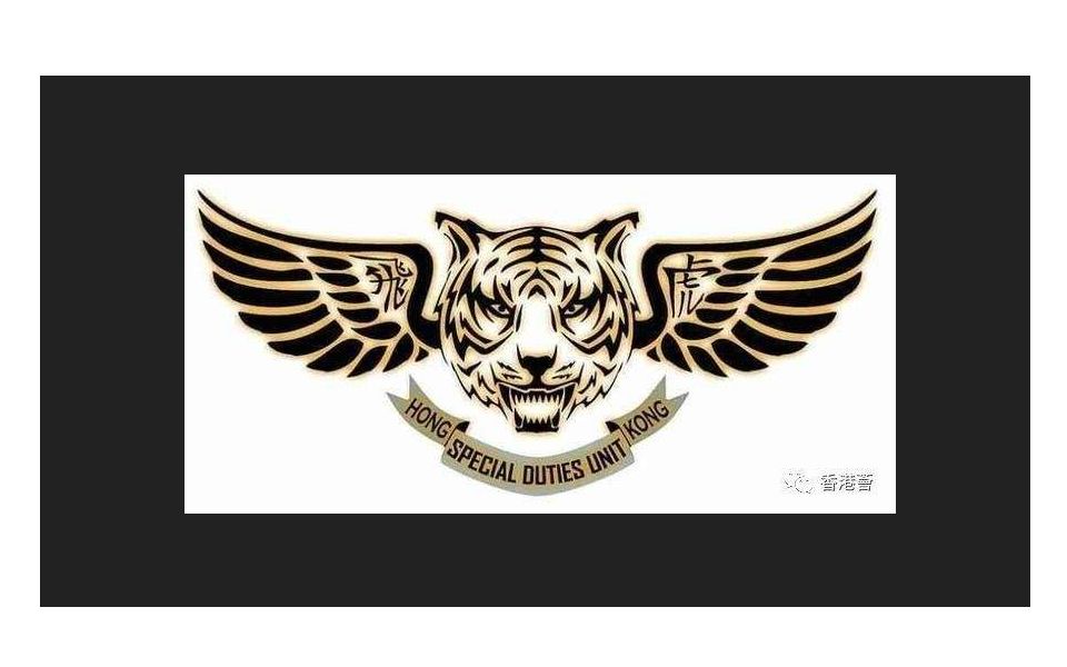 官方宣传片【香港警察 61 特别任务连 61 sdu】飞虎队_哔哩哔哩