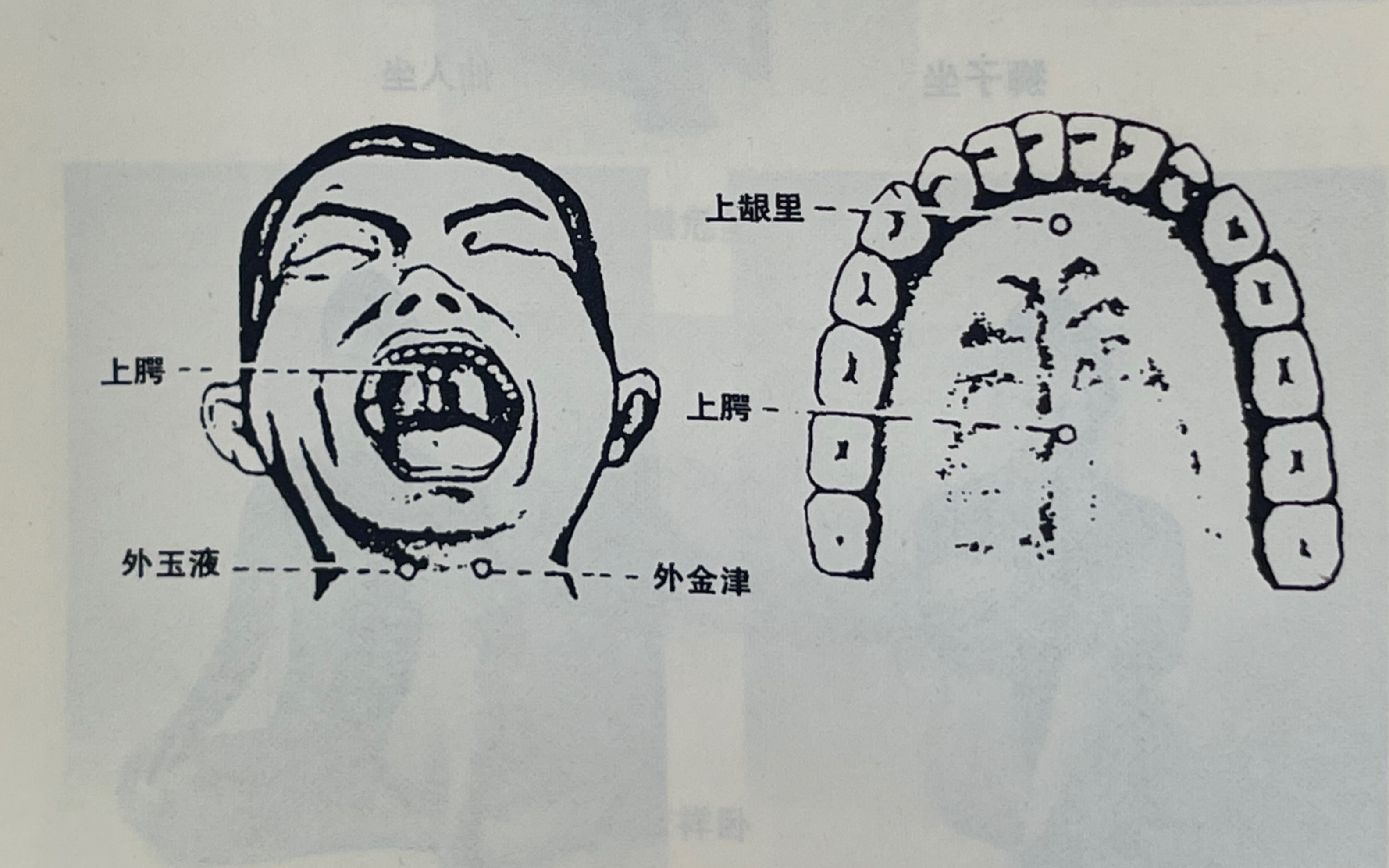 [图]南怀瑾先生讲静坐：第六点“舌抵上鄂”，你不知道的养生秘诀。