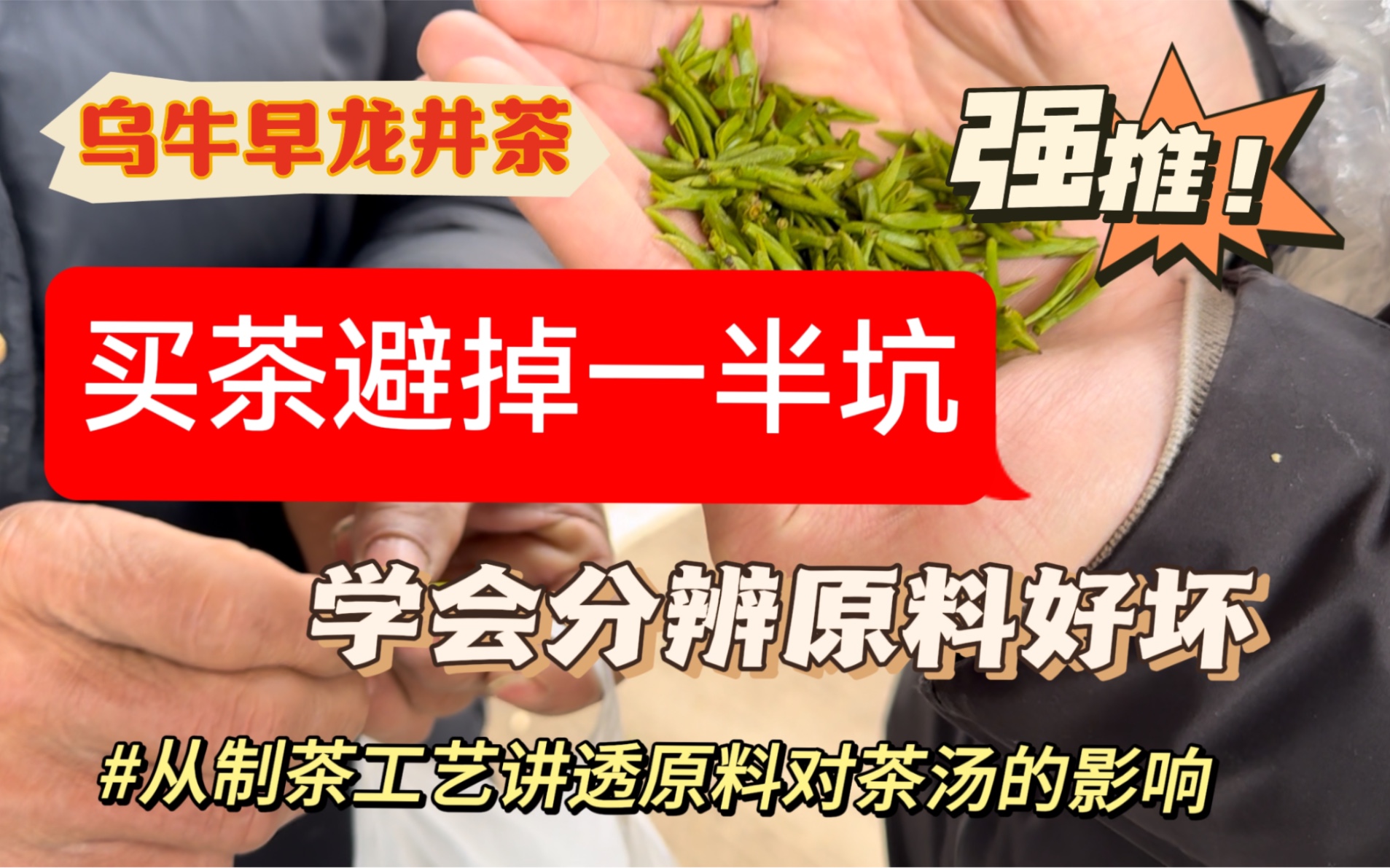 茶干市场几百上千包茶叶,为什么有些几百有些大几百,从原料分析差异,掌握基本选茶买茶技能!哔哩哔哩bilibili