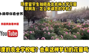 Download Video: 印度留学生拍摄西北农林大学花园，印网友：怎么申请您的学校？