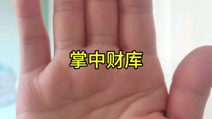 掌中财库手相哔哩哔哩bilibili