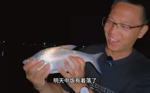 Tải video: 水位猛涨，夜钓鳊鱼狂口！都是上等的柳叶鳊，明天中饭有着落了！