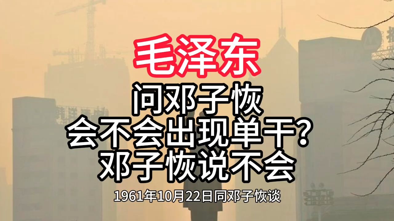 《毛泽东年谱》问邓子恢 会不会出现单干? 邓子恢说不会——1961年10月22日哔哩哔哩bilibili