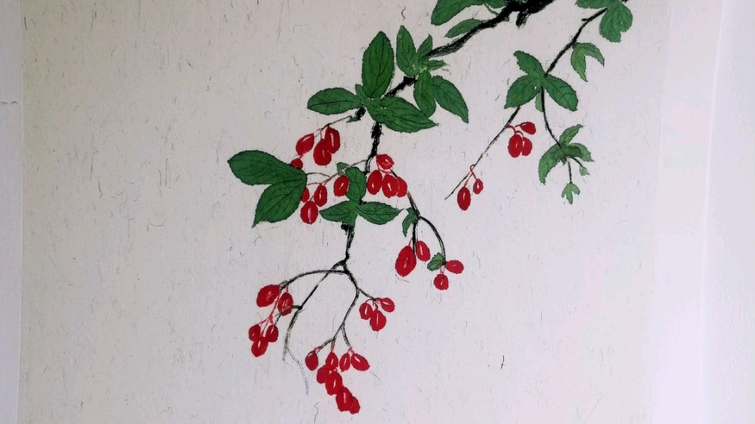 茱萸_哔哩哔哩_bilibili