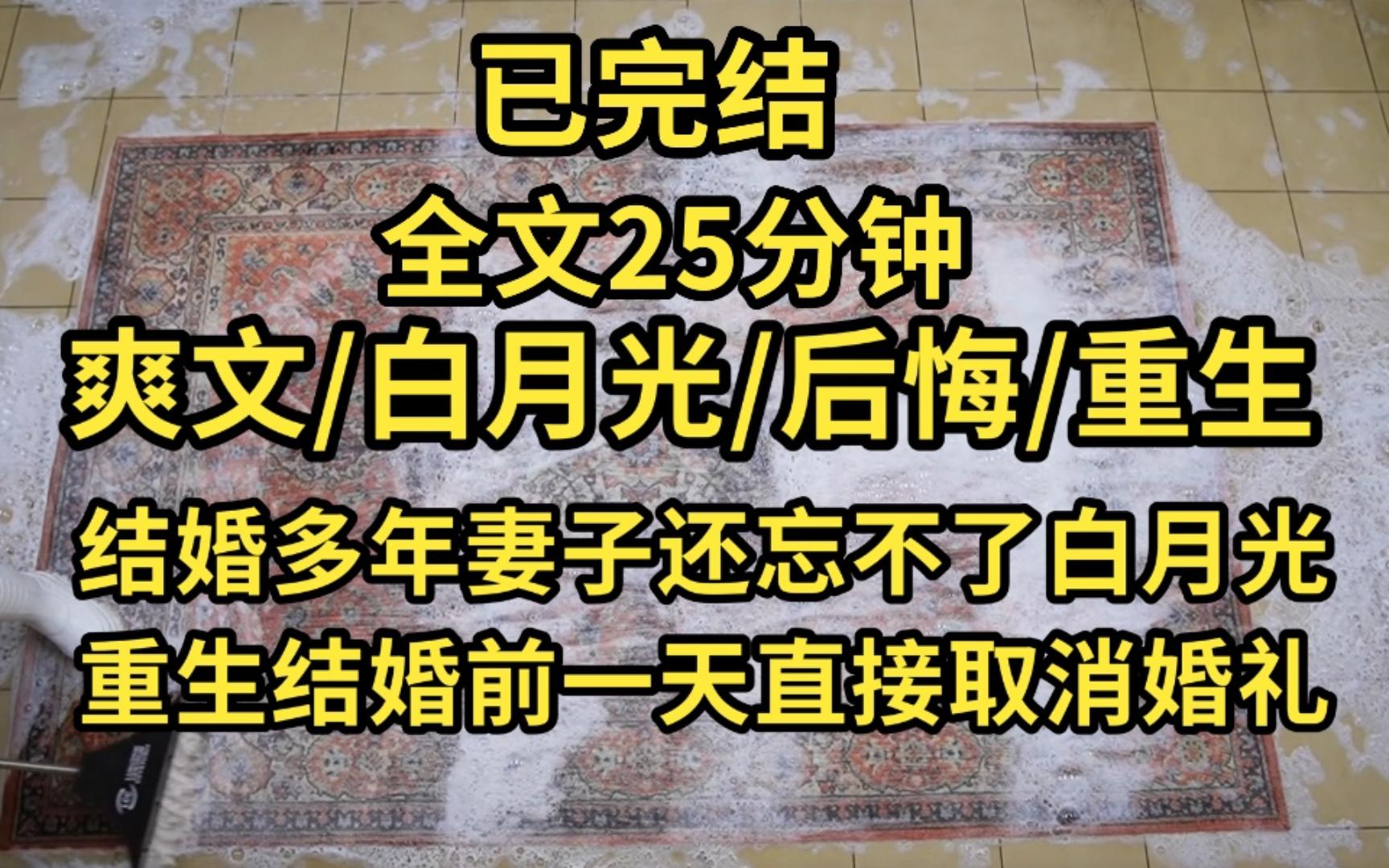 [图]（已完结）妻子结婚多年还是忘不了白月光，甚至找了个白月光替身，放任他陷害我，重生归来我取消婚礼她却急了...