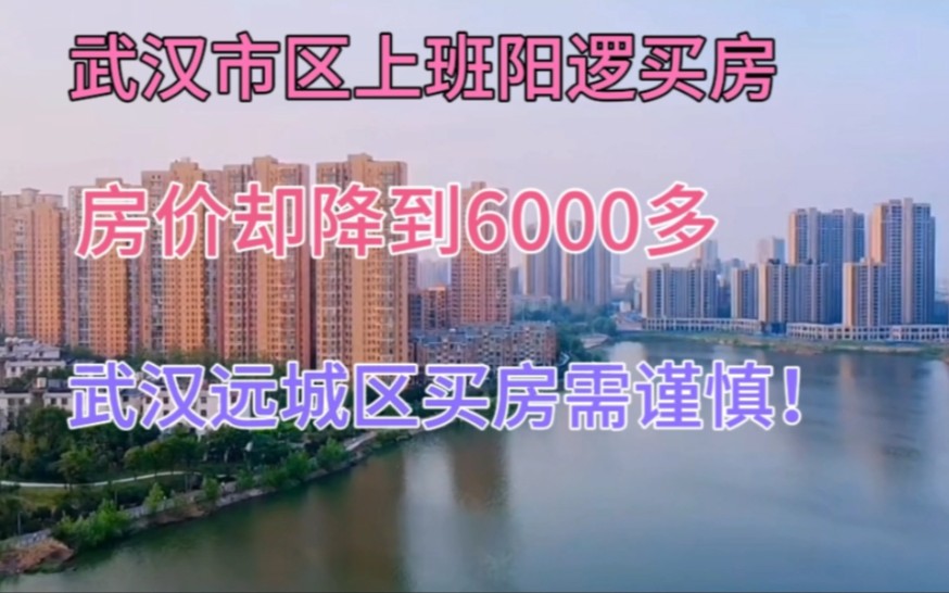 武汉市区上班阳逻买房,房价从9000降到6000,武汉远郊买房需谨慎哔哩哔哩bilibili