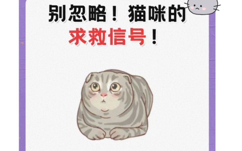 [图]养猫小技巧171:猫咪的这些求救信号，铲屎官们快来看看吧！