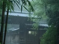 Скачать видео: 竹林惹了骤雨，浓墨惹了相思。竹林听雨，品一种静，享一时清闲，得一片悠然清绝···