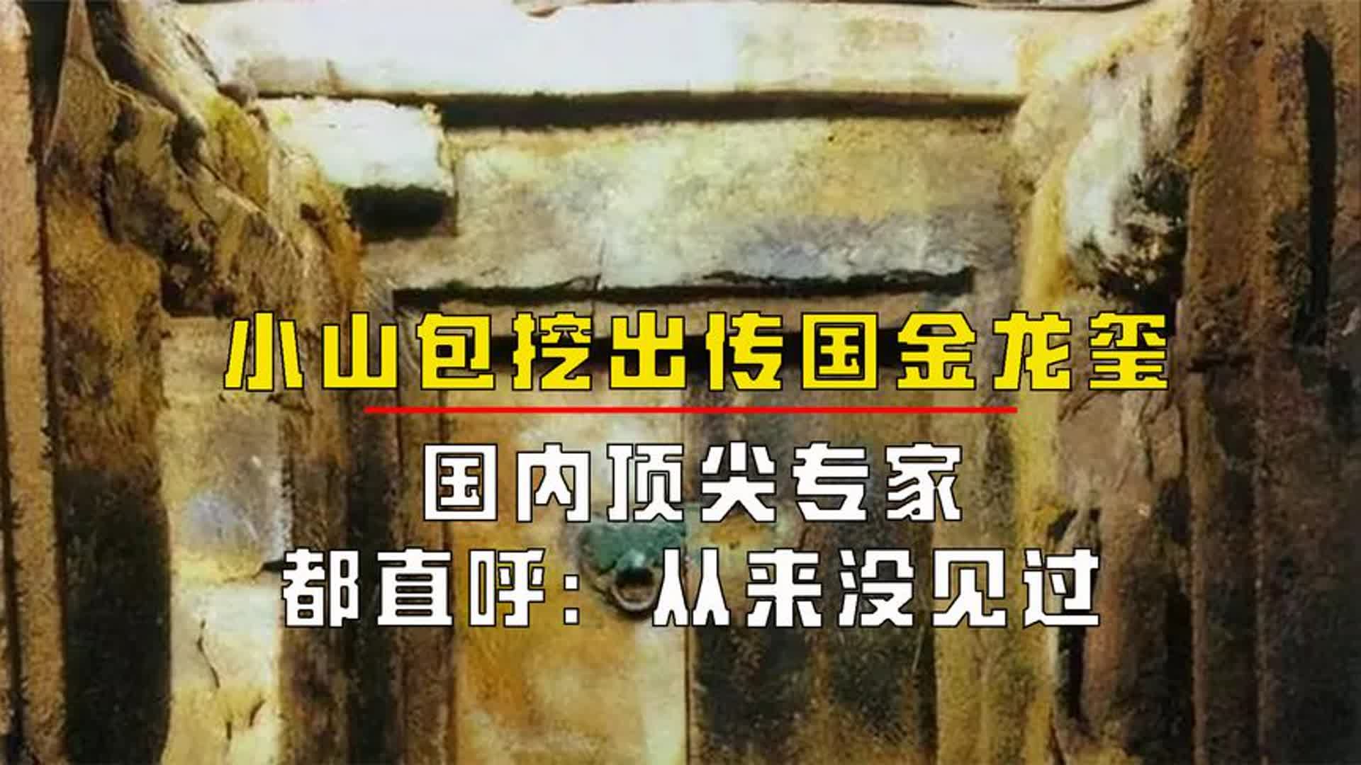 小山包挖出传国金龙玺,国内顶尖专家都直呼:从来没见过哔哩哔哩bilibili