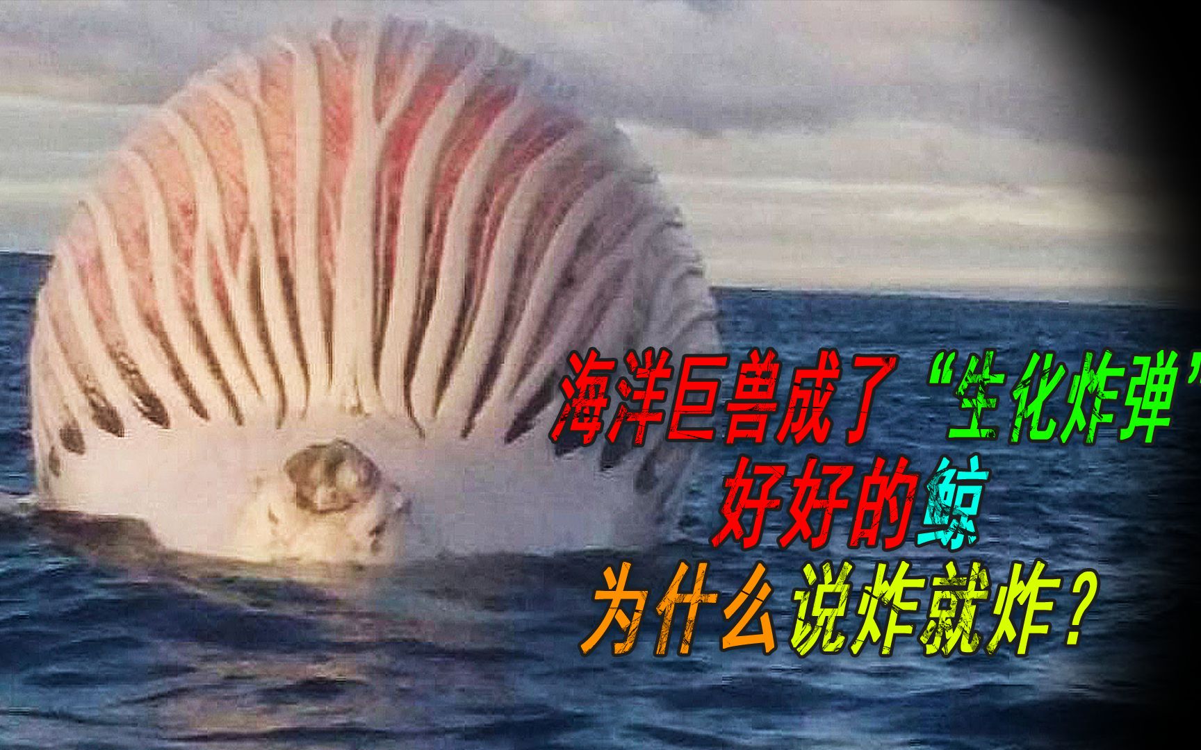 什么是鲸爆为什么鲸落万物生鲸爆就是自然的生化武器