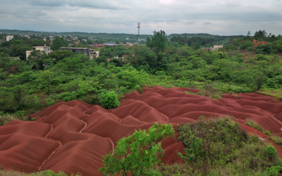 "红色沙漠"——红砂岭