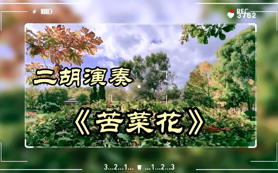 [图]二胡独奏《苦菜花》