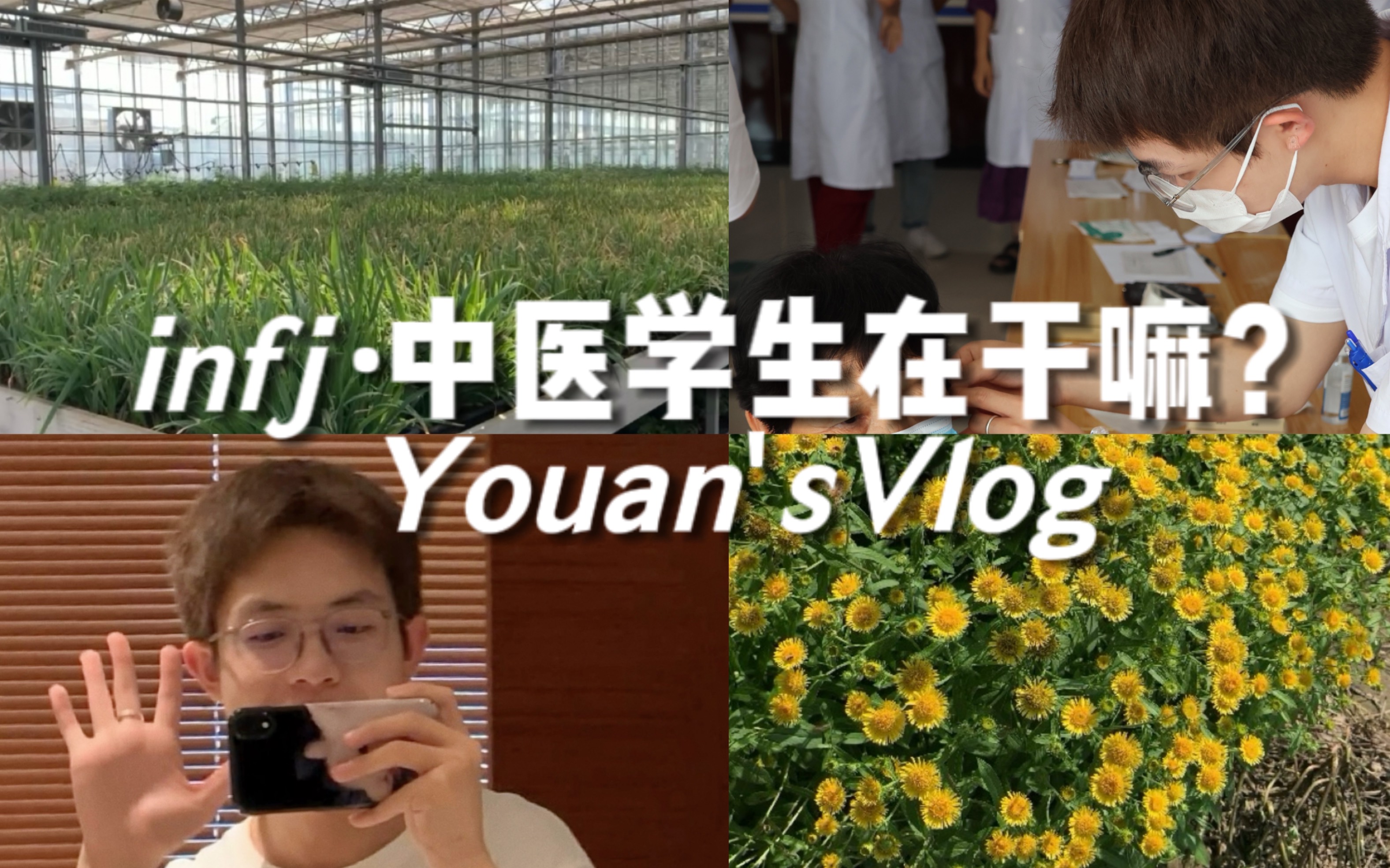 北中医vlog|能量疗愈/义诊实践/大地与植物/本草和人群哔哩哔哩bilibili