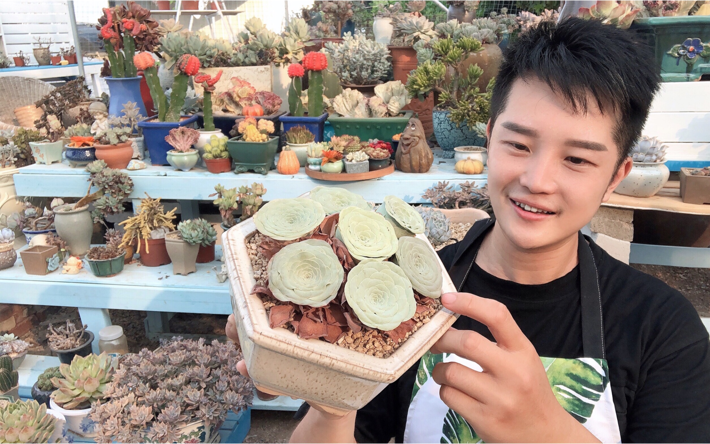 要热卖的多肉品种,提前给大家看看状态!分享秋季多肉植物!哔哩哔哩bilibili