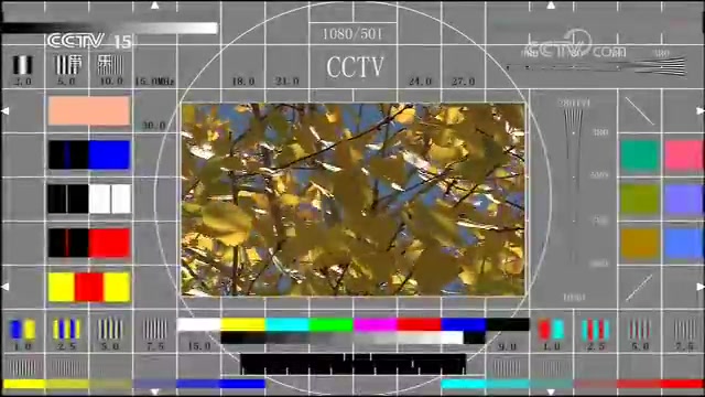 [图]【放送文化】CCTV15音乐频道出现较为罕见的零点前休台的情况（2020年4月3日至4日）