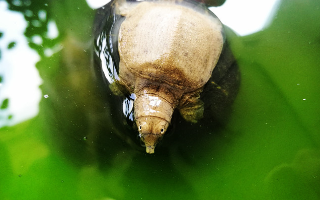 小王八羔子的拍摄已经成为日常_哔哩哔哩 (゜-゜)つロ 干杯~-bilibili