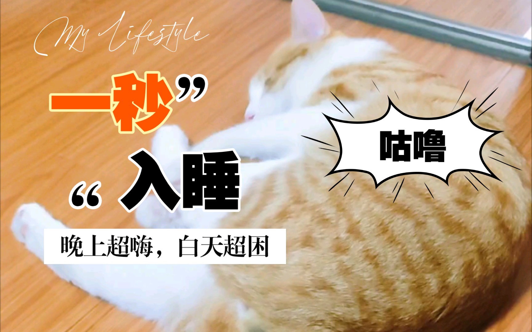 睡觉你是认真的吗?