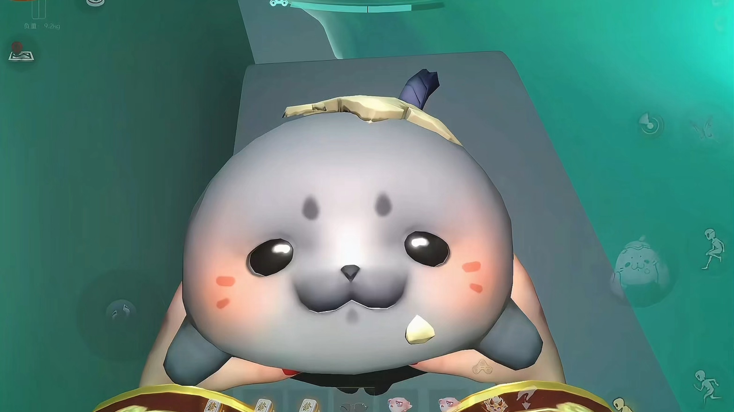 捕捉豹弹仔的注意事项