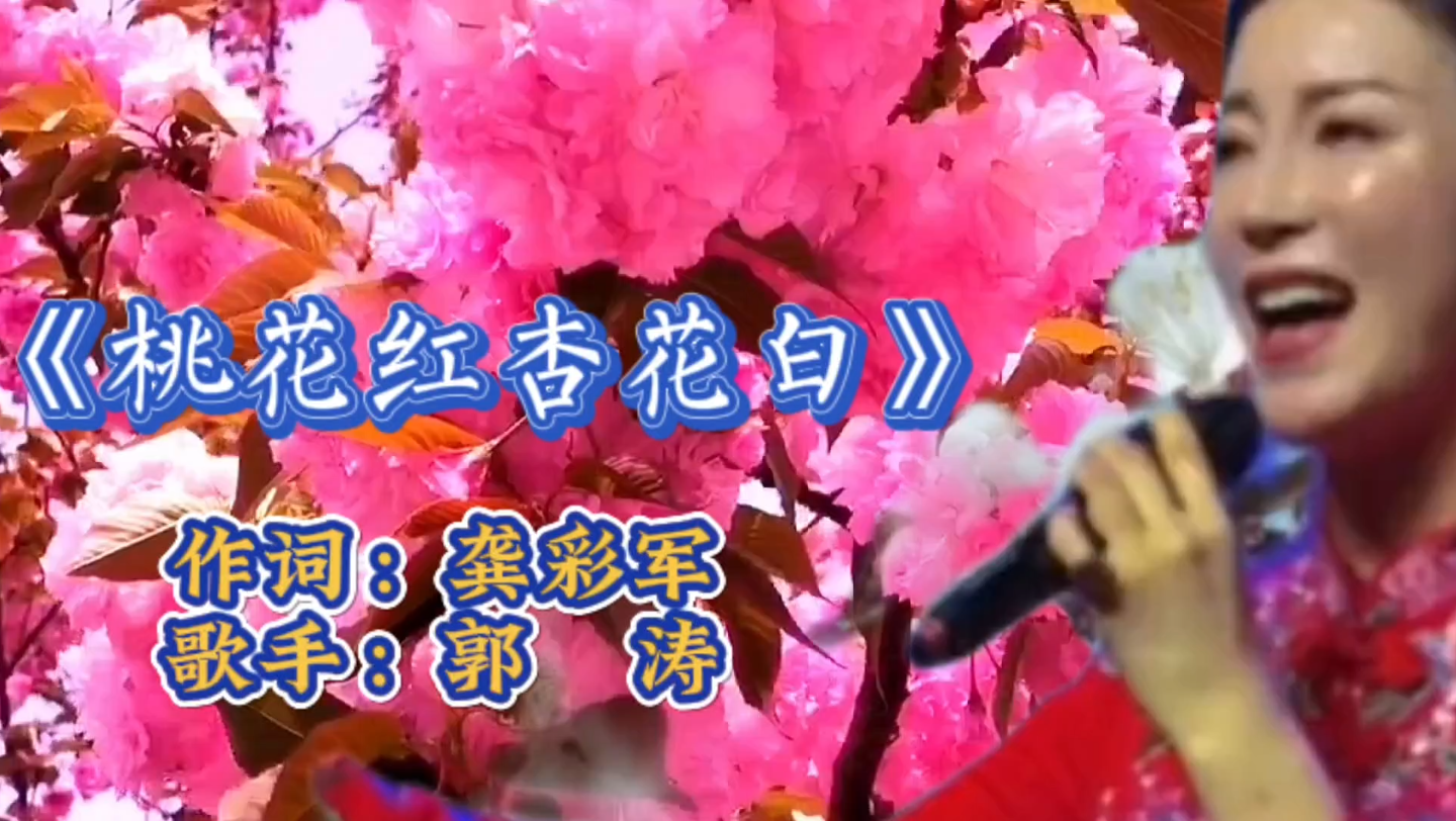 郭涛演唱《桃花红杏花白》翻过桃花岭淌过杏花海憨憨的哥哥看花来