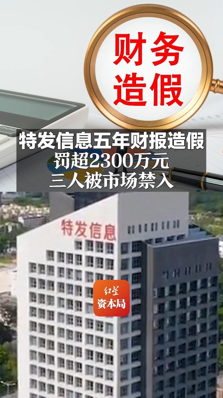 特发信息五年财报造假 罚超2300万元 三人被市场禁入哔哩哔哩bilibili