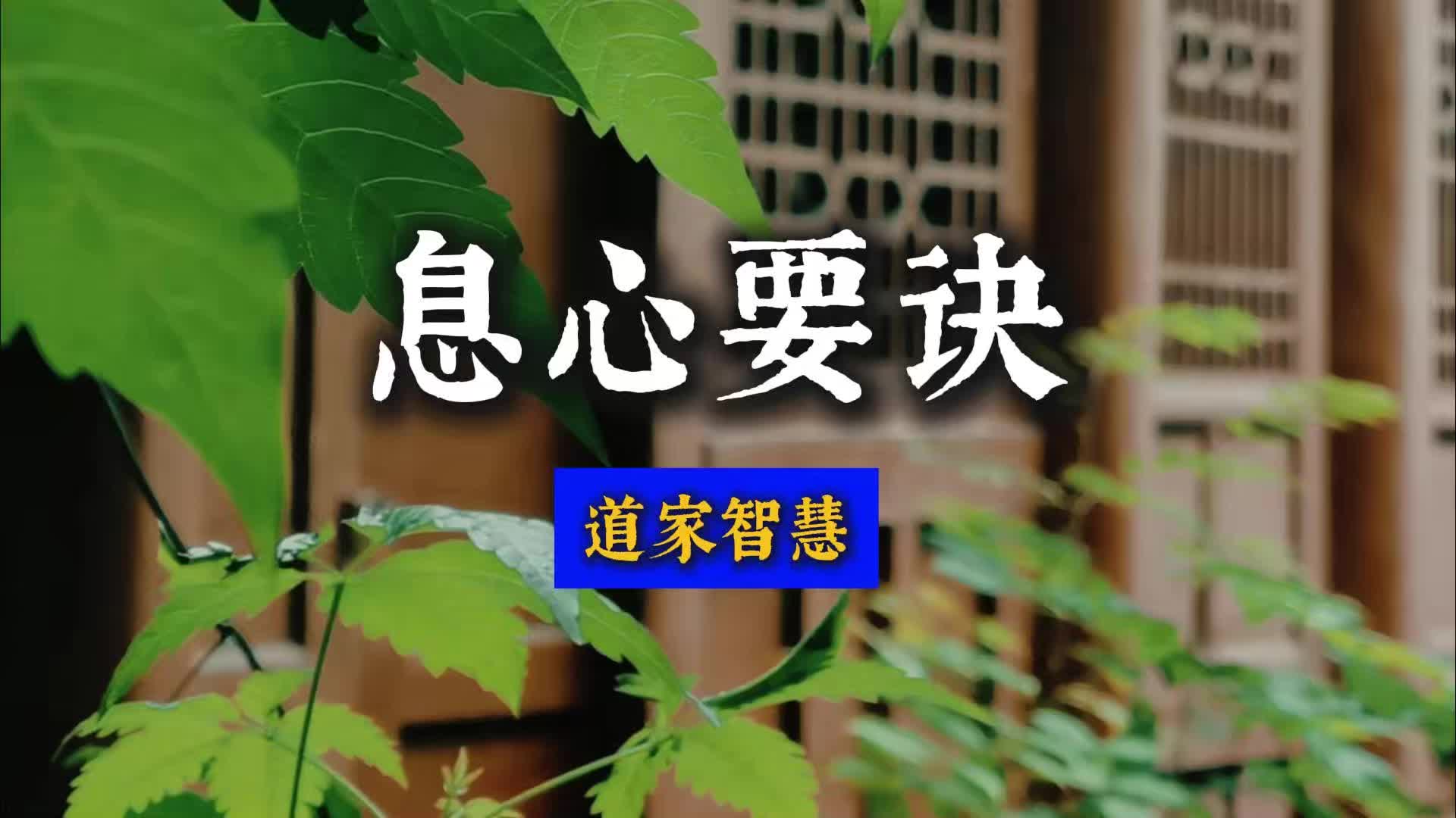 道家修心智慧《息心要诀》,透彻精彩哔哩哔哩bilibili