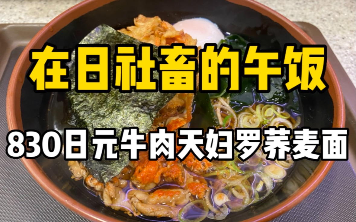 [图]在日社畜43块钱的午餐，平价荞麦面店的天妇罗牛肉荞麦面！配上温泉蛋好吃到起飞》