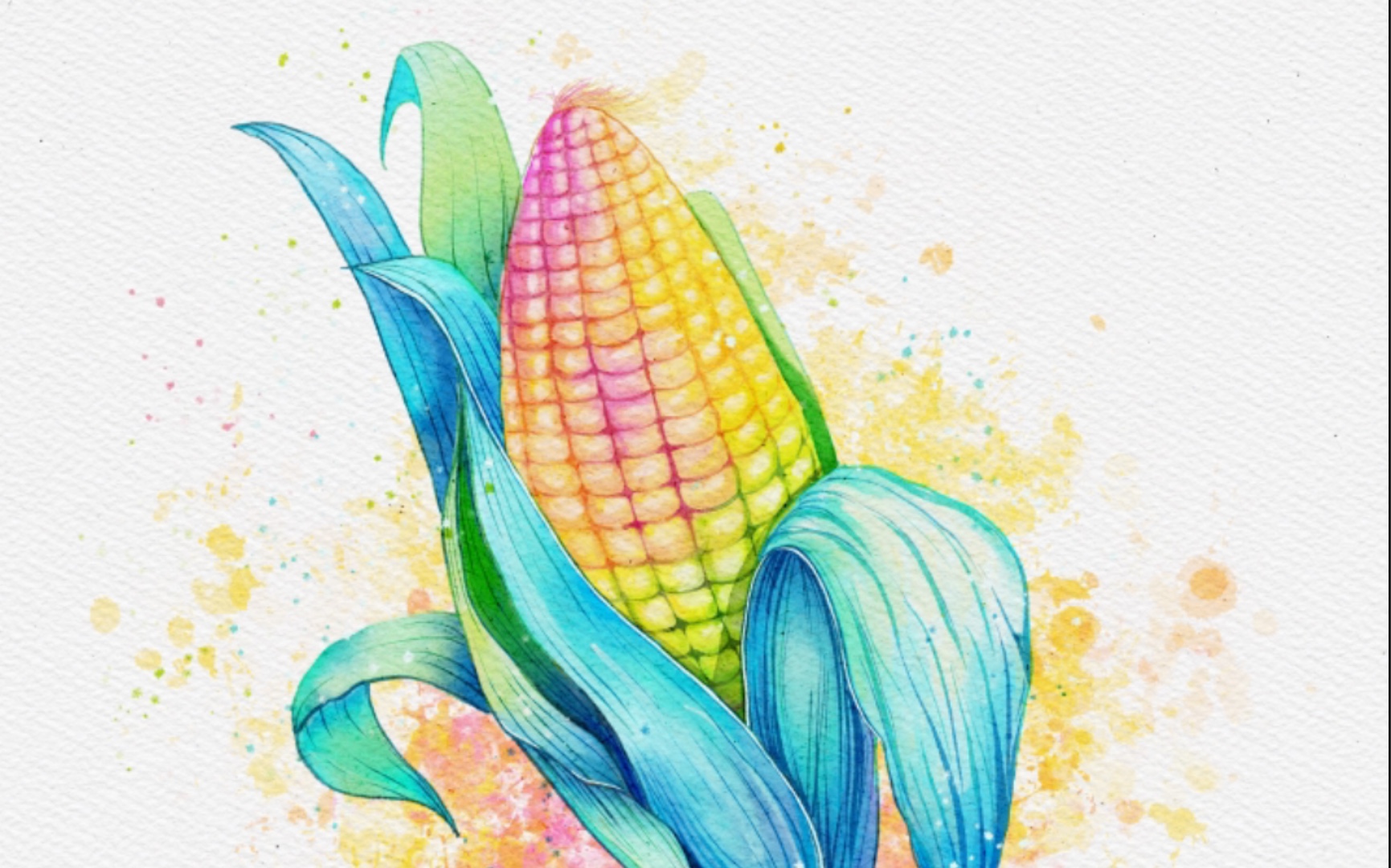 procreate临摹水彩玉米